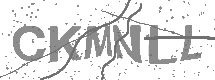 visual captcha